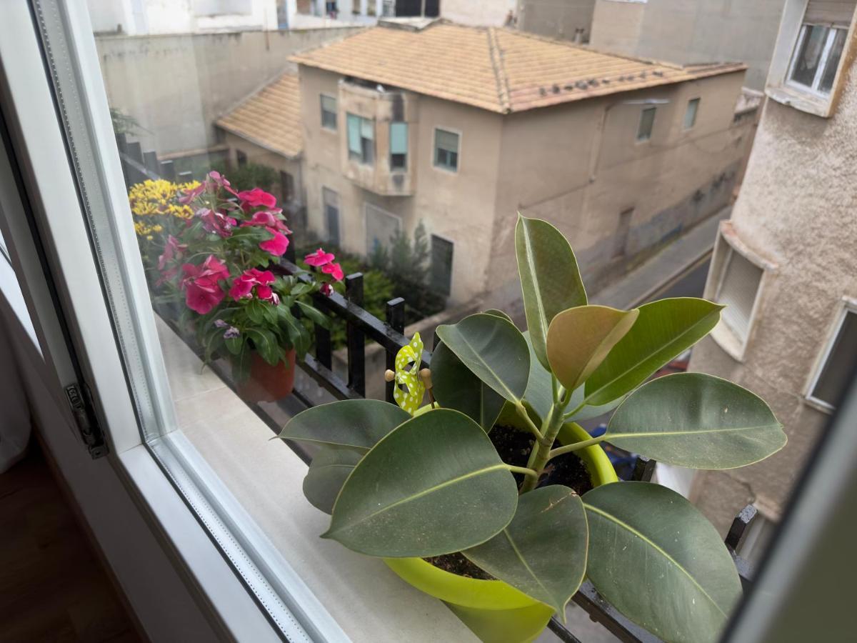 Antonio Apartments Alicante Kültér fotó